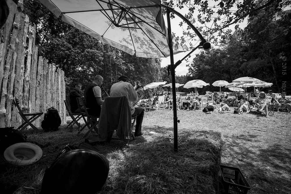 SCHRAMMELKLANG @ LITSCHAU 20150712 c2015 www.stephanmussil.at NR 423 L.jpg