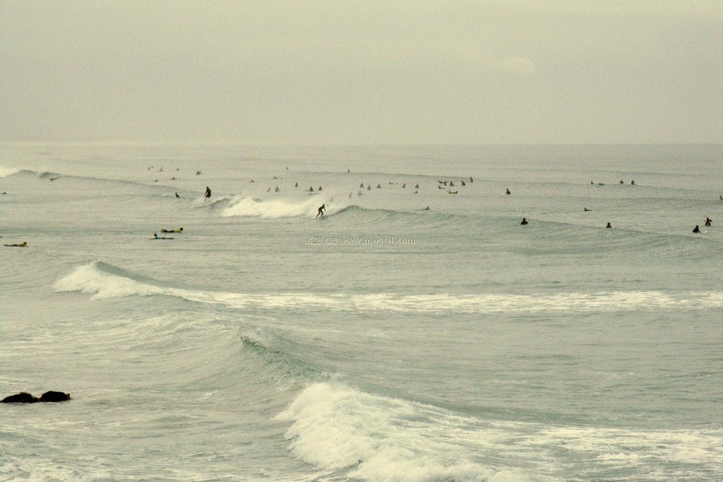 Surfing_Vishoek  South Africa.JPG